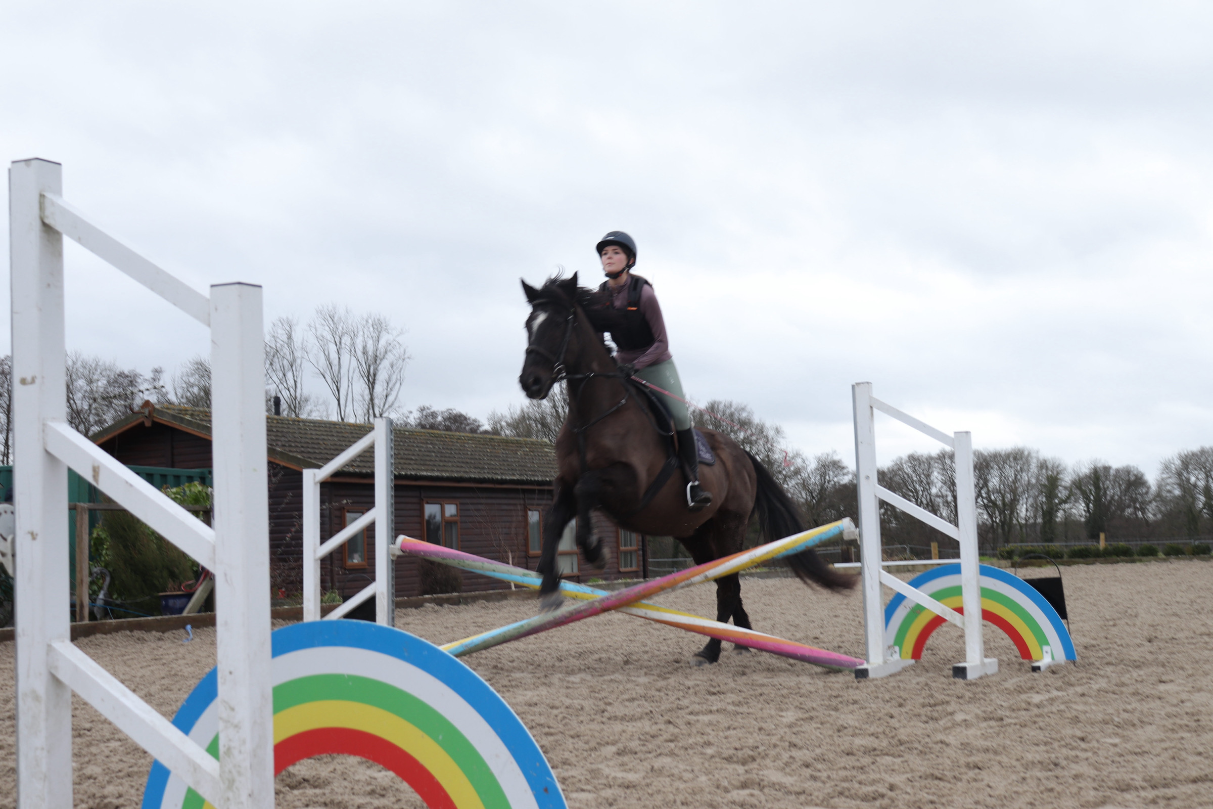 Horse Riding Lessons 2nd March