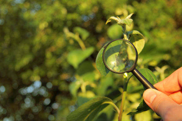 BioBlitz at Glen Eyre Halls