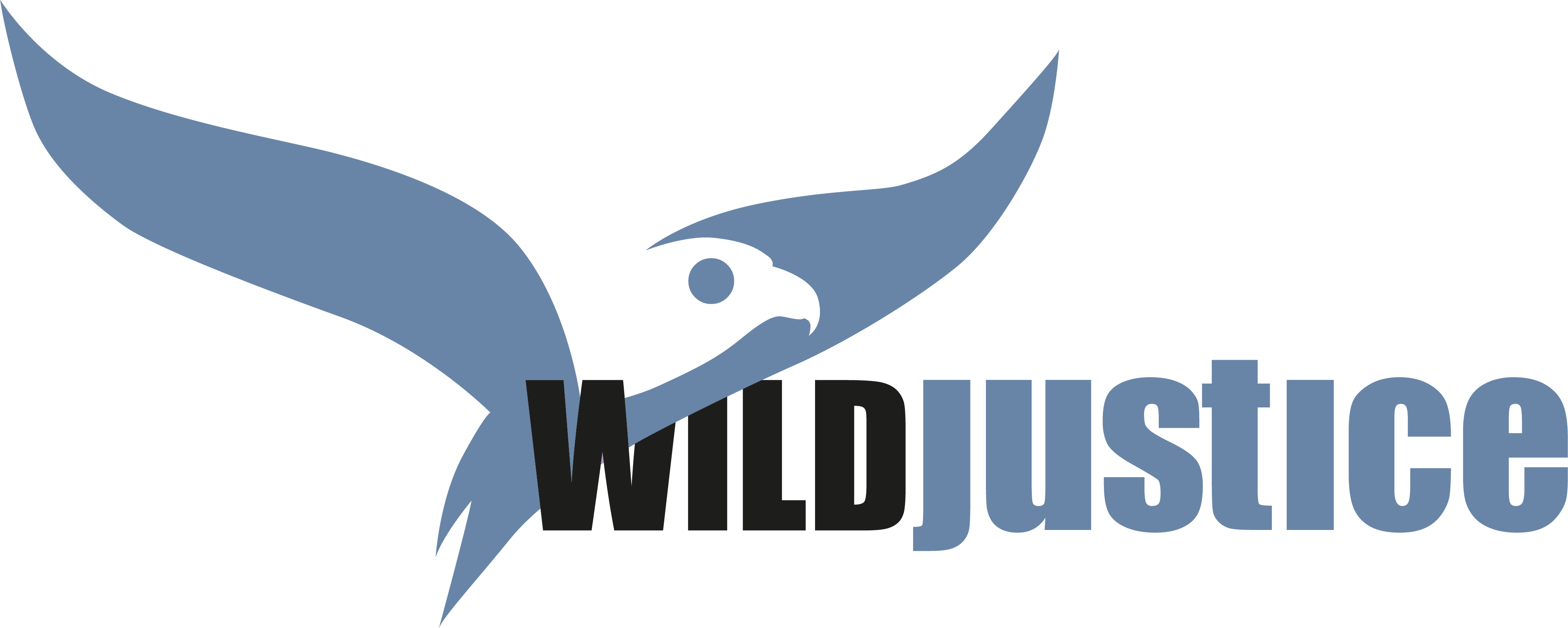 A talk from Chris Packham; his work in Wild Justice