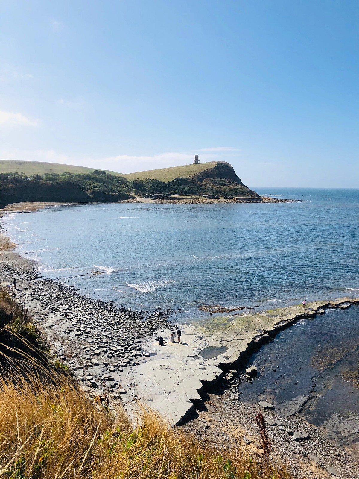 SUSAC x Wildlife Society Kimmeridge Bay Rockpooling trip