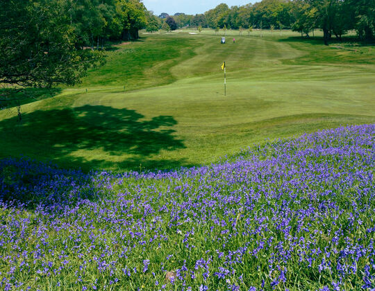 Brockenhurst Manor Golf Day