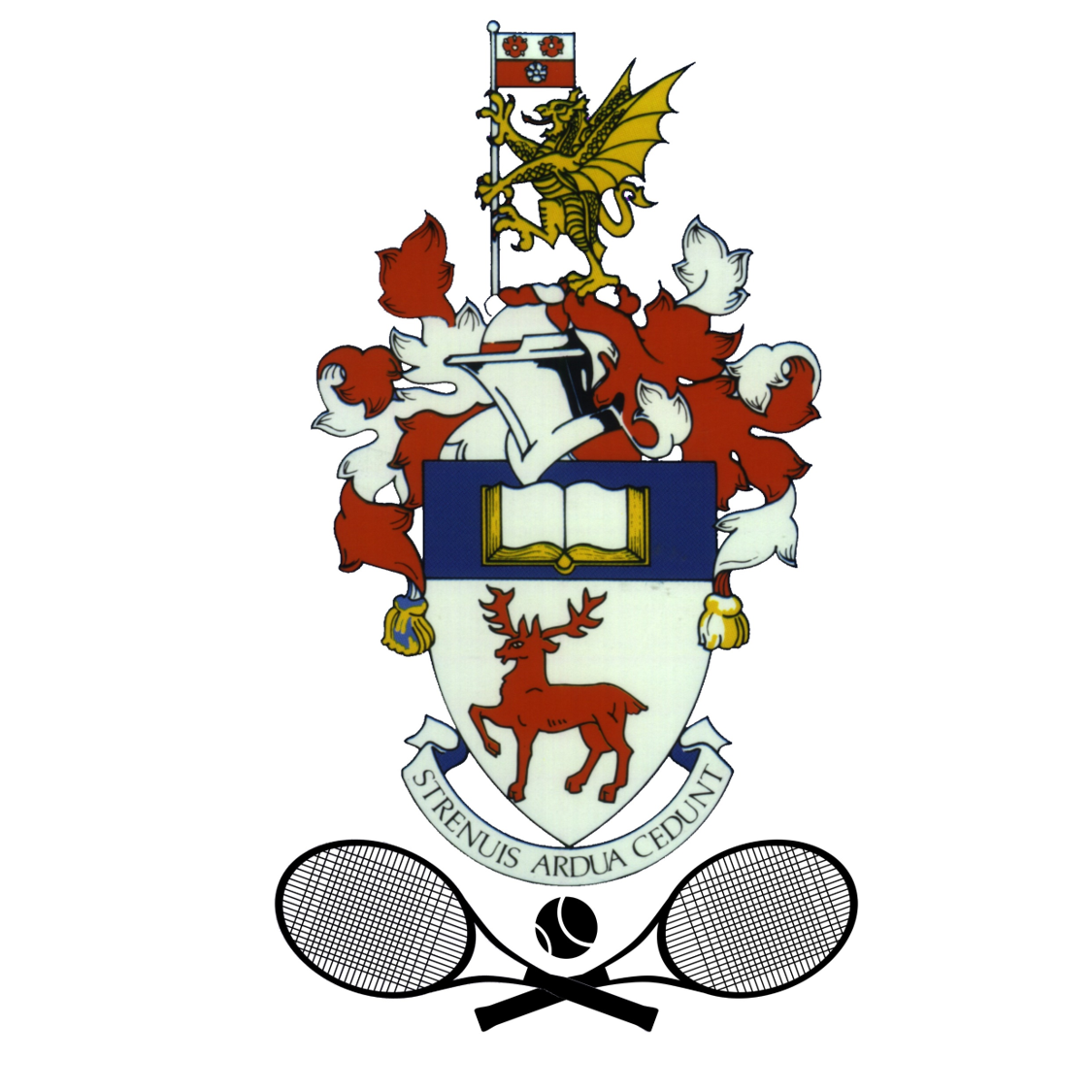 SUTC x NO LIMITS Charity Tennis Tournament