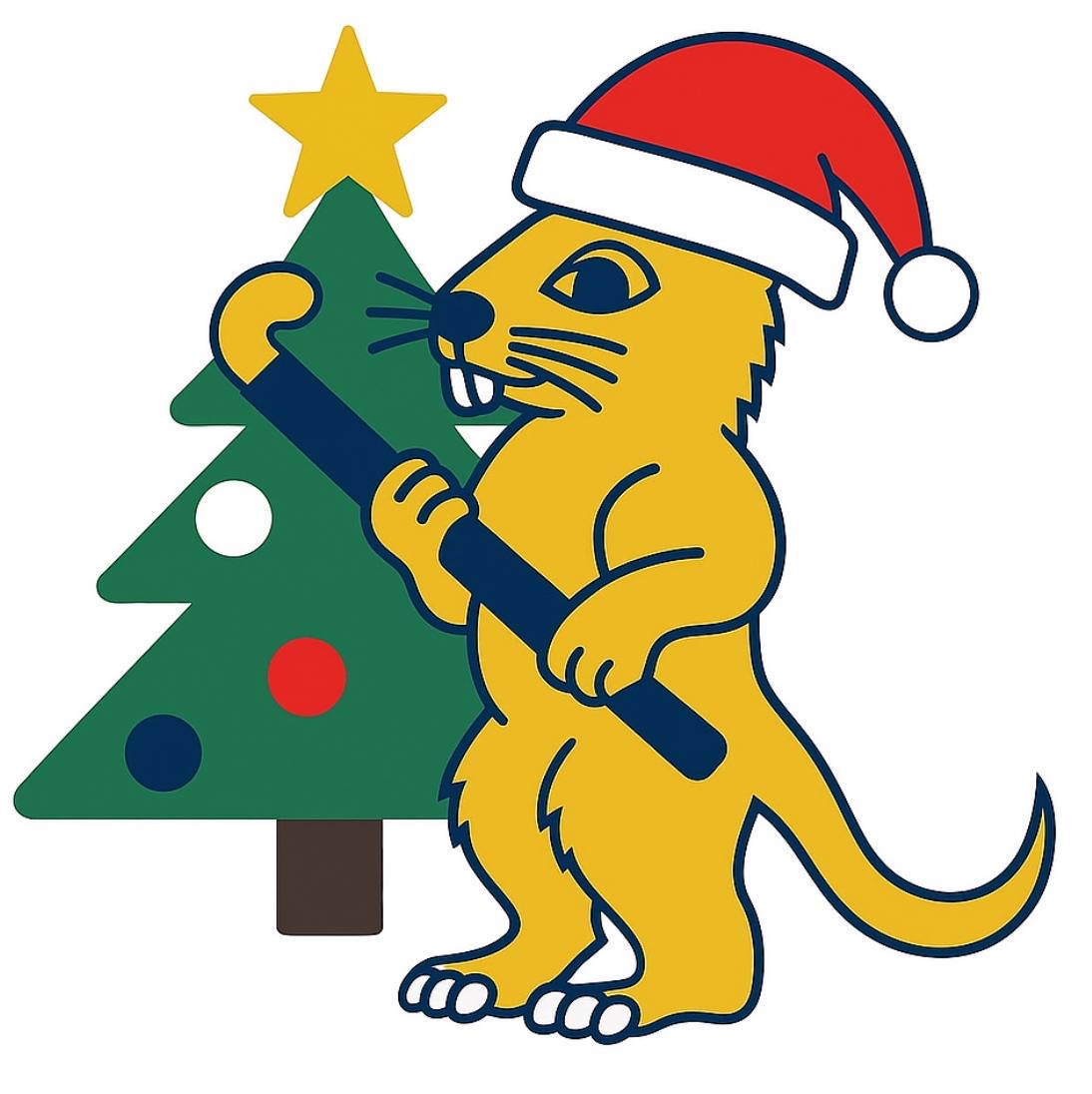 Gophers Christmas dinner (round 2)